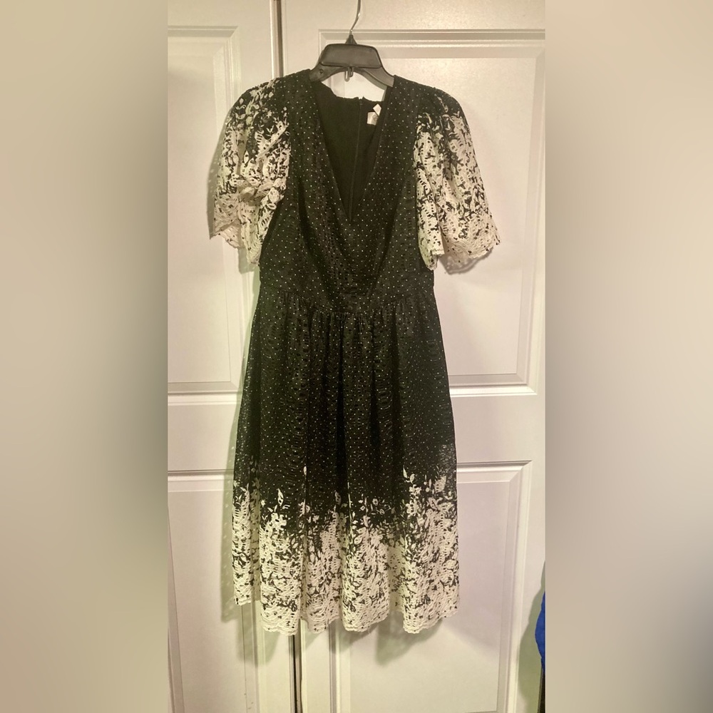 Eliza J Black and Cream Lace Dress (size 10)